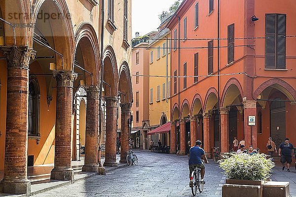 Via Zamboni  Bologna  Emilia-Romagna  Italien