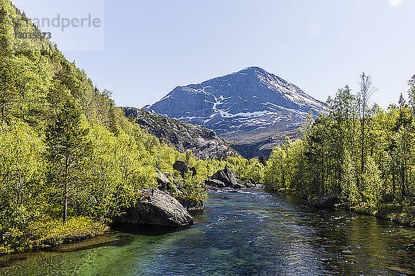 Eisschmelzfluss  der sich durch den Sekundärwald in Hellmebotyn  Tysfjord  Norwegen  Skandinavien  schlängelt