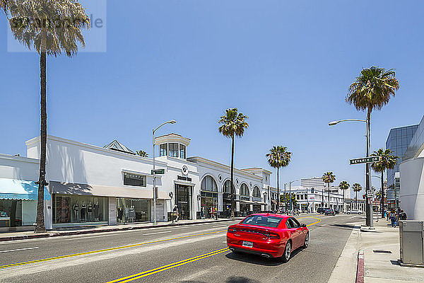 Blick auf Geschäfte und Palmen am Santa Monica Boulevard  Beverly Hills  Los Angeles  Kalifornien  Vereinigte Staaten von Amerika