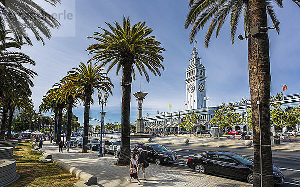 Ferry Building und Palmen  San Francisco  Kalifornien  Vereinigte Staaten von Amerika  Nordamerika