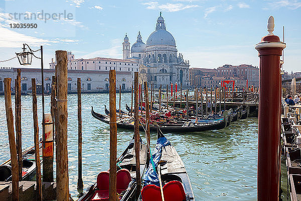Gondeln auf dem Canal Grande in der Nähe der Kirche S. Maria Della Salute  Venedig  Venetien  Italien