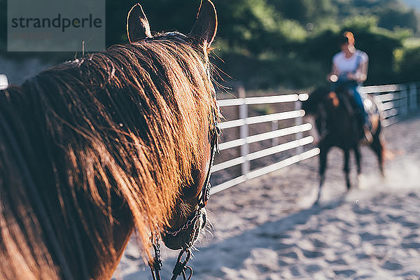 Reiten auf dem Reitplatz  flacher Schwerpunkt