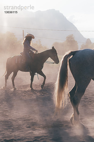Cowgirl Reitpferd auf staubigem Reitplatz  Primaluna  Trentino-Südtirol  Italien
