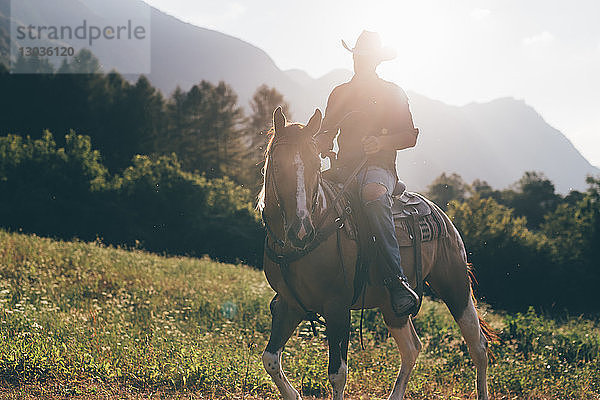 Cowboy-Reitpferd in ländlicher Landschaft  hinterleuchtet  Primaluna  Trentino-Südtirol  Italien