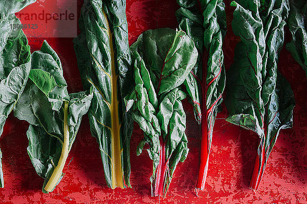 Reihe von Gemüseblättern auf rotem Hintergrund  Draufsicht
