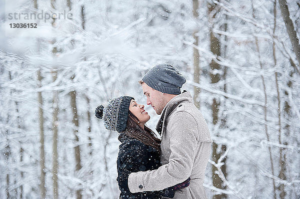 Romantisches junges Paar von Angesicht zu Angesicht im verschneiten Wald  Ontario  Kanada