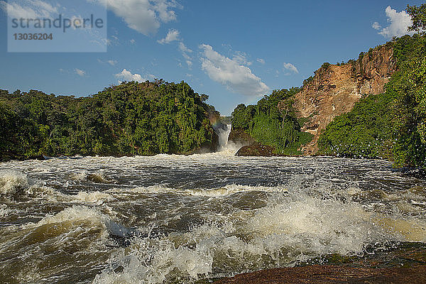 Der Nil und der Wasserfall im Murchison Falls National Park  Uganda