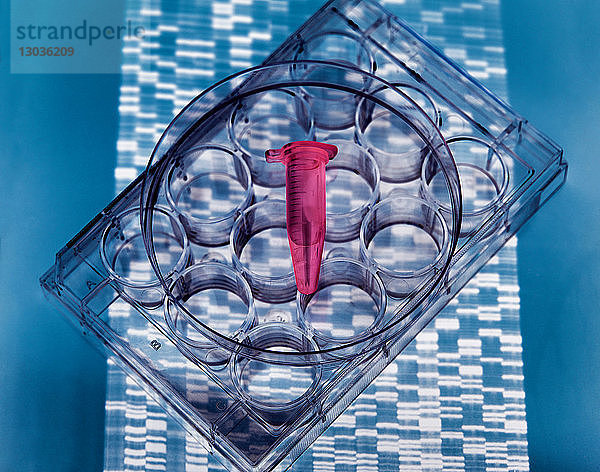 DNA-Probe im Inneren des Fläschchens auf einer Multiwell-Platte  DNA-Gel zeigt Ergebnisse
