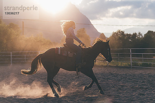 Langhaarige junge Frau beim Galoppieren zu Pferd auf dem ländlichen Reitplatz  von hinten beleuchtet  Primaluna  Trentino-Südtirol  Italien