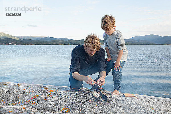 Junge und Vater bei der Zubereitung von Fisch zum Grillen auf einem Einlauffelsen  Aure  More og Romsdal  Norwegen