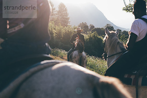 Junge Erwachsene beim Reiten auf dem Land  Rückansicht im Ausschnitt  Primaluna  Trentino-Südtirol  Italien