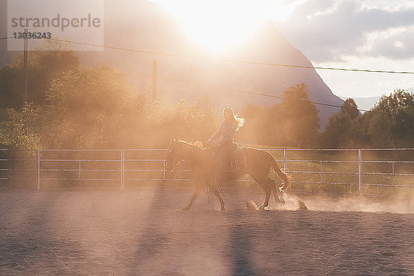 Langhaarige junge Frau trabt zu Pferd auf ländlichem Reitplatz  hinterleuchtet  Primaluna  Trentino-Südtirol  Italien