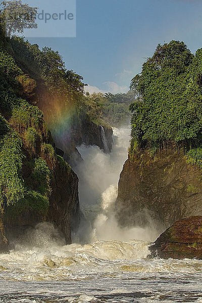 Der Nil und der Wasserfall im Murchison Falls National Park  Uganda