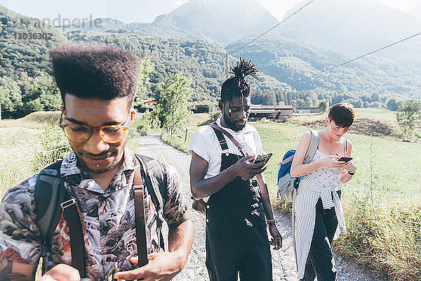 Junge erwachsene Wanderer auf ländlichem Feldweg mit Blick auf Smartphones  Primaluna  Trentino-Südtirol  Italien