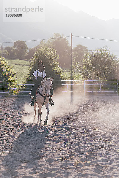 Cooler junger Mann reitet in ländlicher Reitarena  Primaluna  Trentino-Südtirol  Italien