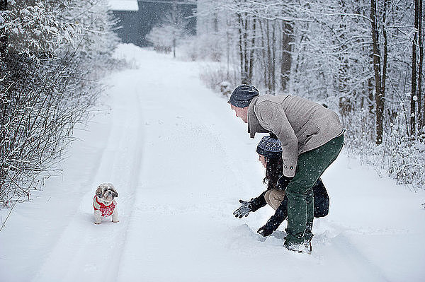 Junges Paar spielt mit Hund im verschneiten Wald  Ontario  Kanada