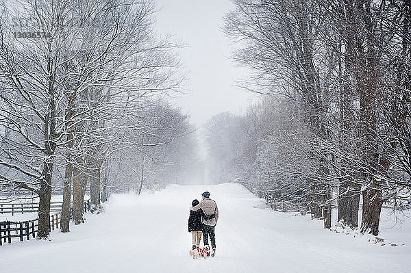 Romantisches junges Paar beim Hundespaziergang im verschneiten Wald  Rückansicht  Ontario  Kanada