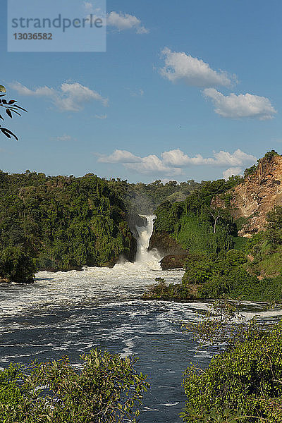 Der Nil und der Wasserfall im Murchison Falls National Park  Uganda