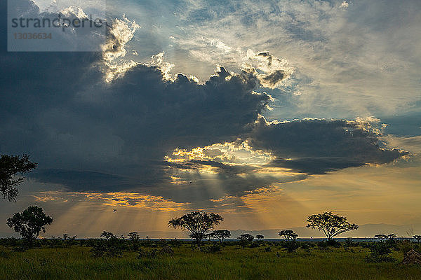 Dämmerung im Queen-Elizabeth-Nationalpark  Uganda