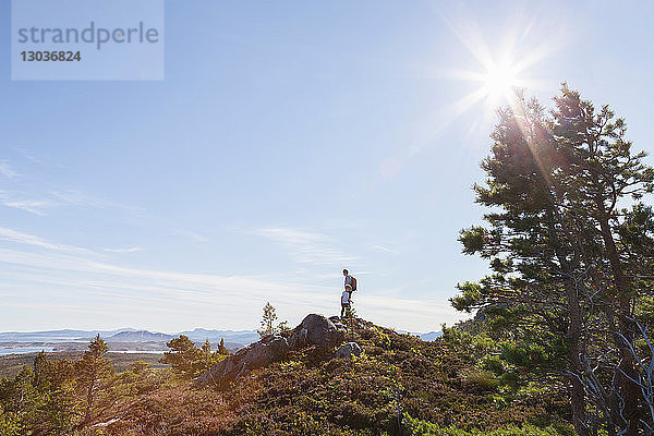 Junge und Vater blicken vom bewaldeten Hügel über die Landschaft  Aure  More og Romsdal  Norwegen