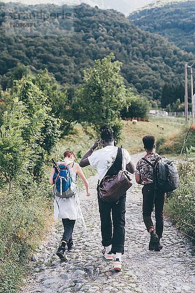 Junge erwachsene Wanderfreunde wandern auf ländlicher Kopfsteinpflasterstraße  Rückansicht  Primaluna  Trentino-Südtirol  Italien