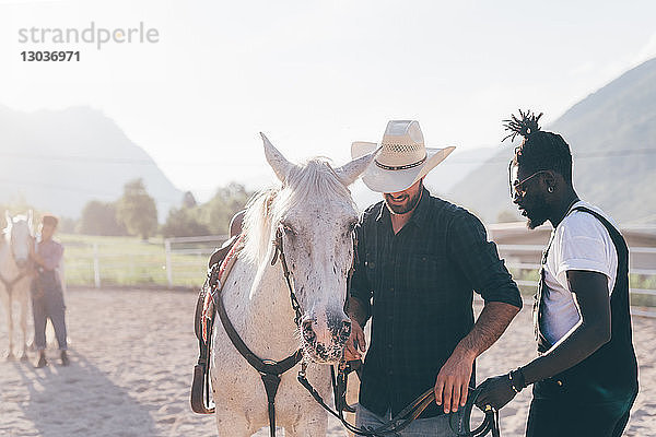 Cowboy übergibt jungen Mann auf ländlichem Reitplatz die Zügel des Pferdes  Primaluna  Trentino-Südtirol  Italien