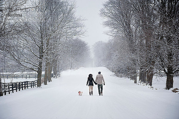 Junges Paar beim Hundespaziergang im verschneiten Wald  Rückansicht  Ontario  Kanada