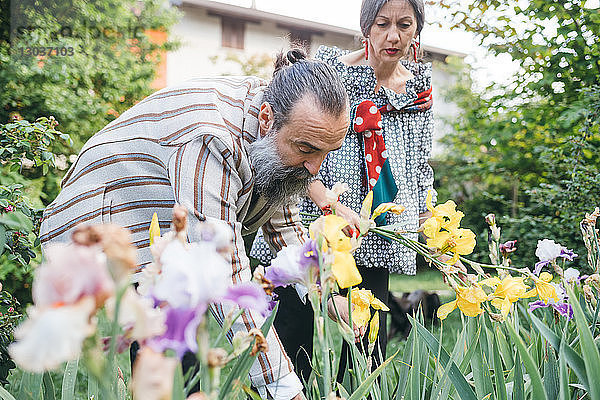 Ehepaar beim Blumenpflücken im Garten