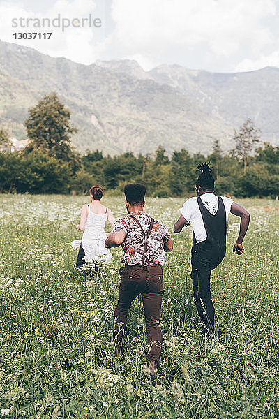 Junge erwachsene Freunde laufen durch eine Wildblumenwiese  Rückansicht  Primaluna  Trentino-Südtirol  Italien