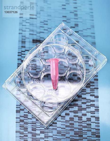 DNA-Probe im Inneren des Fläschchens auf einer Multiwell-Platte  DNA-Gel zeigt Ergebnisse
