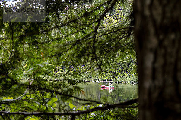 Entfernte Ansicht eines Mannes in einem Kanu auf dem Mosquito Lake  Pemberton  British Columbia  Kanada