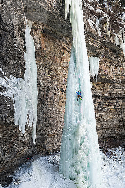 Männlicher Eiskletterer beim Besteigen der Eiszinne im Rigid Designator Amphitheater  Vail  Colorado  USA