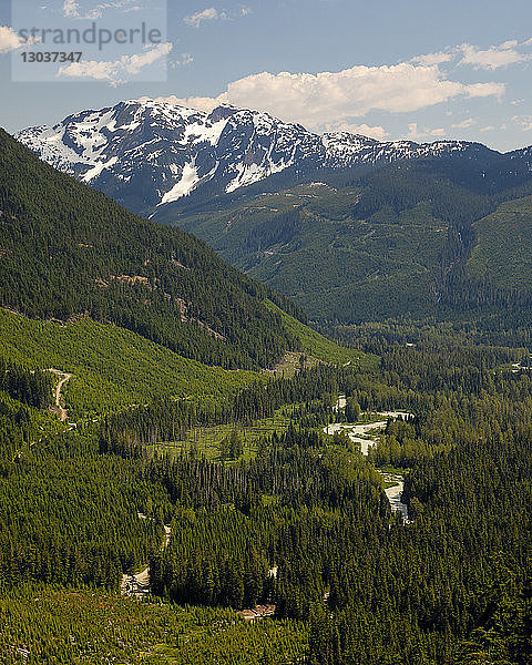 Der Rutherford Creek fließt in der Mitte eines üppig grünen Tals  und an den Bergen auf beiden Seiten sind Spuren der Abholzung zu sehen  Pemberton  British Columbia  Kanada