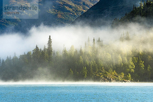 Landschaft mit einem Fichtenwald im Nebel am Ufer des Vagt Lake  Alaska  USA