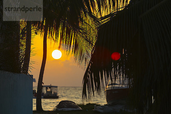 Silhouetten von Palmen am Strand bei Sonnenuntergang â€ Thulusdhoo  Male  Malediven