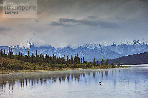 Landschaft mit Blick auf den Wonder Lake und die Berge der Alaska Range  Denali National Park  Alaska  USA
