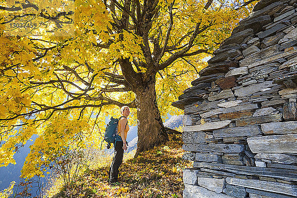 Seitenansicht einer weiblichen Rucksacktouristin  die in der Nähe eines Ahornbaums im Herbst steht  Corippo  Kanton Tessin  Schweiz