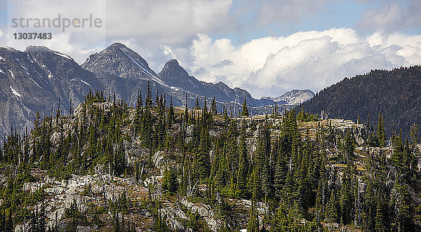 Im Vordergrund ist ein mit Bäumen bewachsener Berghang zu sehen  während im Hintergrund hohe Berggipfel zu sehen sind. Dies ist ein beliebtes Gebiet für Rucksacktouren aufgrund der schönen Aussicht und des relativ einfachen Zugangs über eine Holzfällerstraße  Pemberton  British Columbia  Kanada