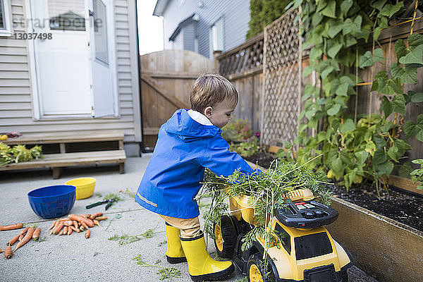 Kleiner Junge benutzt seinen Spielzeug-Muldenkipper  um Schnittgut aus dem Garten zu entfernen