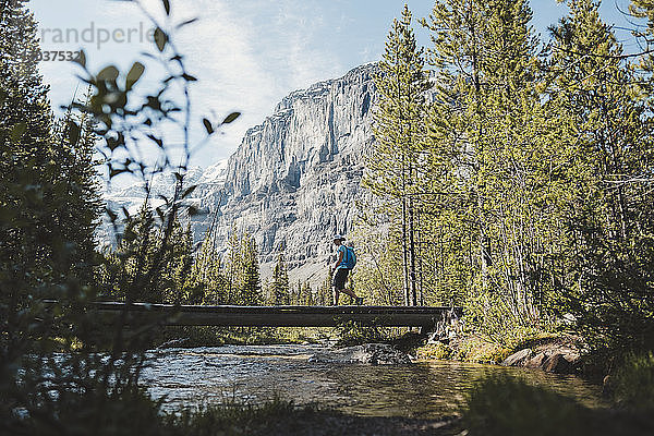 Wanderin beim Überqueren der Brücke über den Stanley Glacier River mit den Rocky Mountains im Hintergrund  British Columbia  Kanada