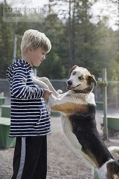 Seitenansicht eines Jungen  der mit einem Hund spielt  während er im Banff-Nationalpark steht