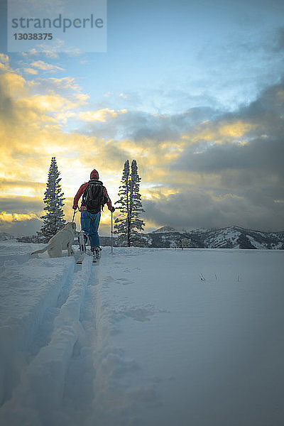 Rückansicht eines Mannes mit Hund beim Skifahren auf schneebedecktem Feld