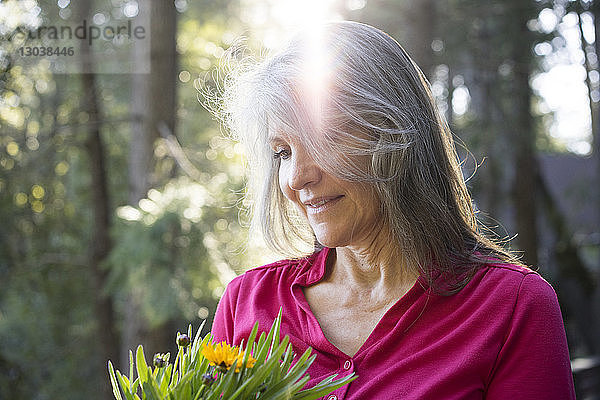 Ältere Frau schaut sich Pflanzen an