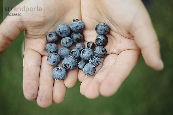 Abgetrennte Hände eines Mädchens mit Blaubeeren