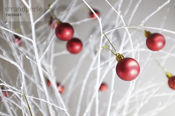 Nahaufnahme von roten Weihnachtskugeln  die zu Hause auf weißen Zweigen geschmückt sind