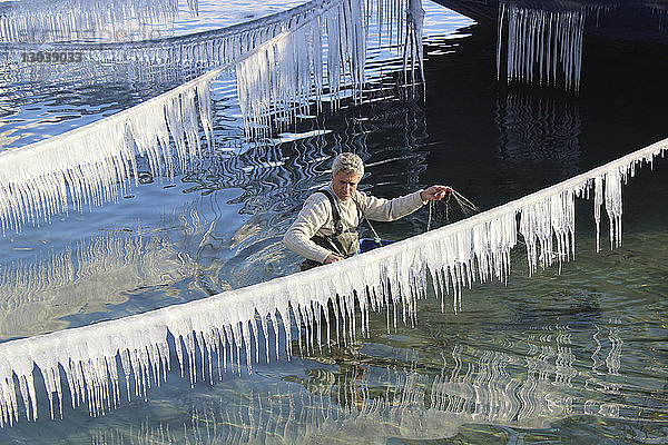 Hochwinkelaufnahme eines Fischers  der ein Fischernetz hält  während er im See inmitten eines gefrorenen Seils mit Eiszapfen steht