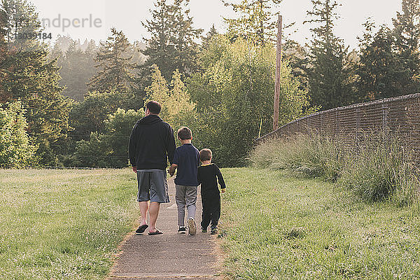 Rückansicht von Vater und Söhnen  die auf einem Fußweg inmitten eines Grasfeldes gegen Bäume laufen