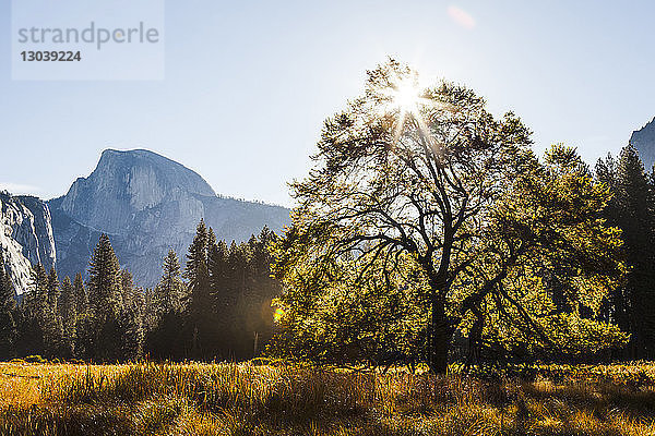 Landschaftlicher Blick auf den Yosemite National Park gegen den Himmel an einem sonnigen Tag