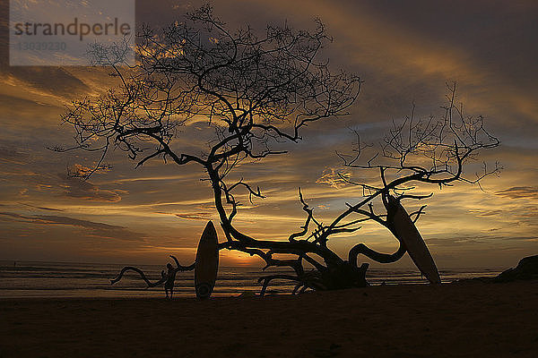 Silhouette einer Person mit Surfbrett  die bei Sonnenuntergang an einem kahlen Baum am Strand steht