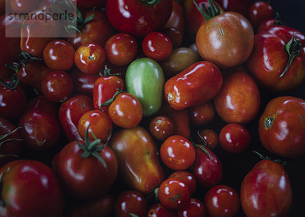 Nahaufnahme von glänzenden Tomaten